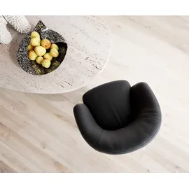 DeLife Schwingstuhl Caja-Flex mit Armlehnen Freischwinger flach Edelstahl Echt-Leder Schwarz Taschenfederkern