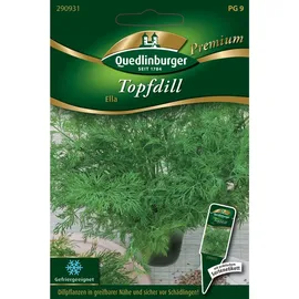 Quedlinburger Saatgut Quedlinburger Topfdill Samen