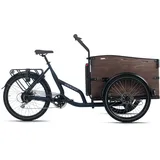 ADORE E-Bike Urban Deluxe blau