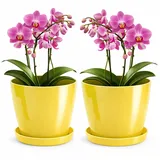 PECZEKO Blumentopf glänzender, Pflanzkübel aus Übertopf Kunststoff Dekorativer Topf für, groß und klein Pflanzen, 2er-Set blumenkübel mit Untersetzer, blumenkübel kräutertopf, Gelb, ø 16 cm
