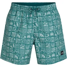 O'Neill Badehose O'Neill Print 16 Blue Bricks S