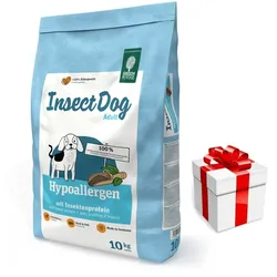 GREEN PETFOOD InsectDog Hypoallergen 10kg + Überraschung für den Hund