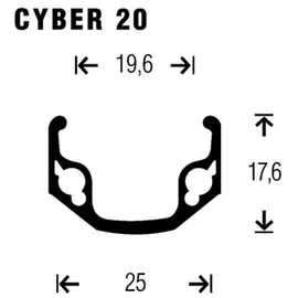 GURPIL MTB-Hinterrad mit 6-Loch-Scheibe zum Anschrauben Mtb Gurpil Cyber20 schwarz 26