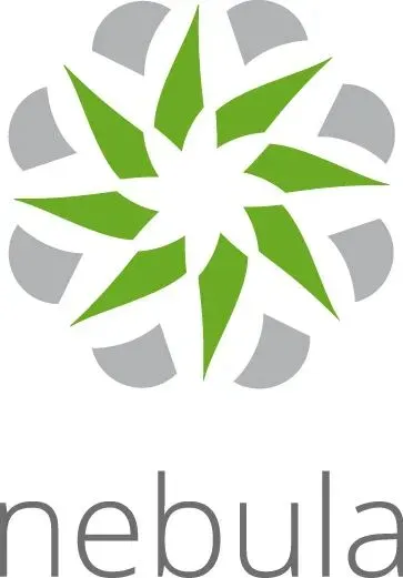 Zyxel LIC-NPRO-ZZ1Y00F Software-Lizenz/-Upgrade 1 Lizenz(en) 1 Jahr(e)