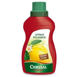Chrysal Flüssigdünger für Zitruspflanzen 0,5 l