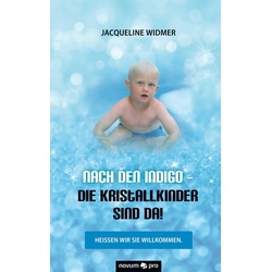 Nach den Indigo - Die Kristallkinder sind da! als eBook Download von Jacqueline Widmer