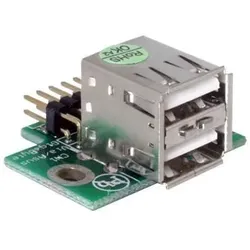 Delock USB-Adapter - 10-poliger USB-Header (M)