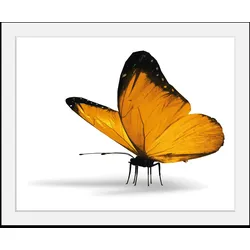 Bild QUEENCE "Maria 1.0", gelb (farbe rahmen: schwarz, farbe bild(er): gelb), B:40cm H:30cm, Acrylglas, Papier, Holz, Bilder, HD Premium Poster-Druck inkl. Holzrahmen