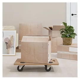 vidaXL Rollbrett 2 Stk. Rechteckig Holzwerkstoff