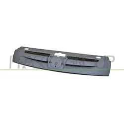PRASCO Kühlergrill für Peugeot Partner PG9062001