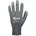Fortis 8 Fortis