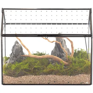 NCYP 26x15x21 cm, Hausform Glas-Terrarium mit Acryldeckel, Handgefertigtes Große Geometrische Terrarium Box für Schnecken, Sukkulenten, Pflanzen, DIY Geschenk (nur Terrarium)