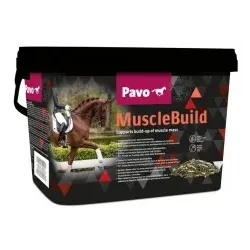 PAVO Ergänzungsfutter MuscleBuild