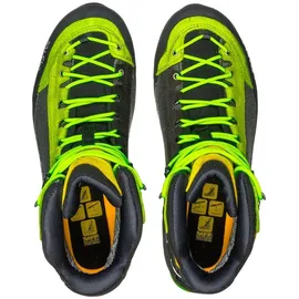Salewa Crow GTX Herren Cactus/Sulphur Spring 46