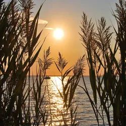 Keilrahmenbild Sylt