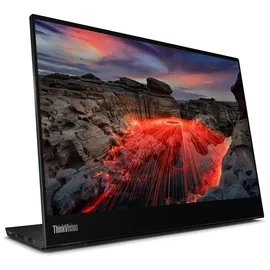 Lenovo ThinkVision M14t Gen 2 14" schwarz