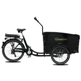 Sachsenrad E-Lastenrad T1 Grand Trunk
