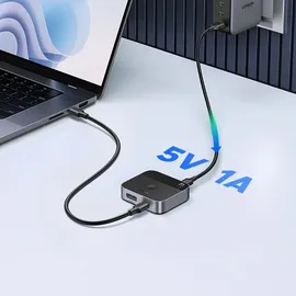 UGREEN Switch DisplayPort/USB-C auf USB-C - grau