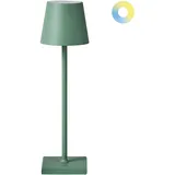 Beliani Kabellose LED Tischlampe BACEIRO mit Dimmer Grün