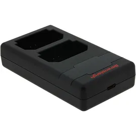 Berenstargh Hyper PD Ladegerät für Sony FP-FZ100 inkl. USB-C Kabel