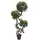 Europalms Ficus Multi Spiralstamm, 160cm