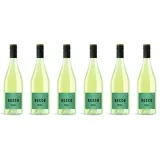 6x Noll's Secco, 2022 - Weingut Noll GbR Baden/Markgräflerland, Baden! Perlwein