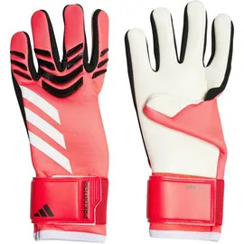 Adidas Predator League Torwarthandschuhe - Lucid Red / Black / White - 9 1/2