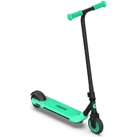 Segway-Ninebot Zing A6 schwarz/grün