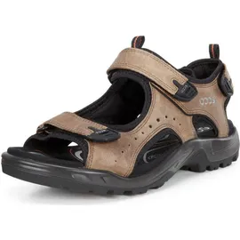 ECCO Offroad Herren nutmeg brown 47