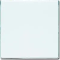 Busch-Jaeger Blindzentralscheibe stws 1576 CN-84