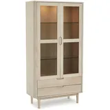 Feeling4Home Vitrine 100 x 45 x 190 cm Mehrfarbig