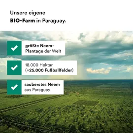 azadivine gmbh Scalp Oil