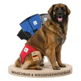 NATURE PET Premium Läufigkeitshose für Hündinnen – Hochwertige & Bequeme Hundewindeln für Hündinnen & Rüden – Waschbare Inkontinenz-Hundewindel ohne Einfädeln der Rute – XL/Rot