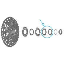 Shimano Ritzel 11-13 Zähne Grau