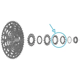 Shimano Ritzel 11-13 Zähne Grau