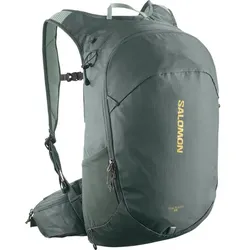 SALOMON Kleintasche TRAILBLAZER 20 Urban, Urban Chic/GREEN MILIEU/, ONE SIZE