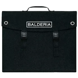 Balderia SP60 monokristallin 60 W