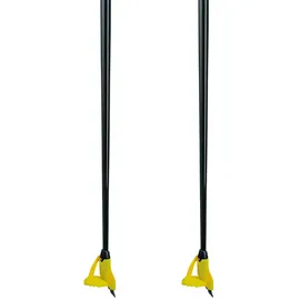 Leki Alpino HRC Max FRT 180 cm pink