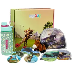 Ergobag Fan-Box