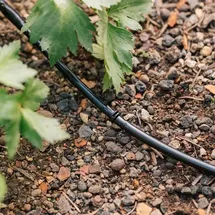 Geka Drip Tropfrohr 15 m