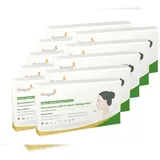 Hotgen Biotech Hotgen Covid-19 Antigen-Schnelltest 10 Stück nasal Coronatest Antigenschnelltest