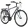Hollandia City Next 28 Zoll RH 56 cm Herren blau