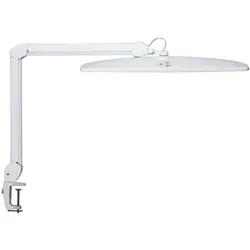 LED-Arbeitsplatzleuchte MAULexplore, dimmbar
