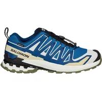 Salomon XA Pro 3D V9 GTX Herren Dark Blue/Icicle/Aloe 44
