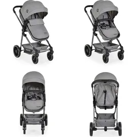 Moni Kombikinderwagen 2 in 1 Giselle
