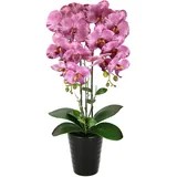 I.GE.A. Künstliche Orchidee 58cm im Topf Kunstorchidee Blume Kunstblumen Kunst Orchidee Kunstorchidee Phalaenopsis Kunstpflanze wie echt Hochzeit Deko Seidenblume Real Touch Blüte Tischgesteck Seidenblume