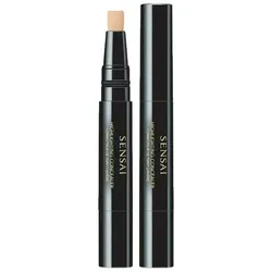 HIGHLIGHTING CONCEALER