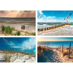 Poster ARTLAND "Einsamer Strand Ostsee Sanddüne Gräser", beige (farbe bild(er): naturfarben), B:29,7cm H:21cm, Papier, Bilder, Poster, Wandbild, Bild, Wandposter