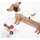 Folia Adventskalender-Set Sausage Dog 54-teilig 9382