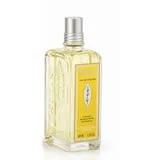 L'Occitane Verveine Agrumes Eau de Toilette 100 ml